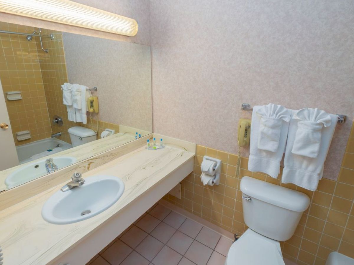 The image shows a bathroom with a sink, a countertop, a toilet, towels, toiletries, and a bathtub with a showerhead, and a large mirror.