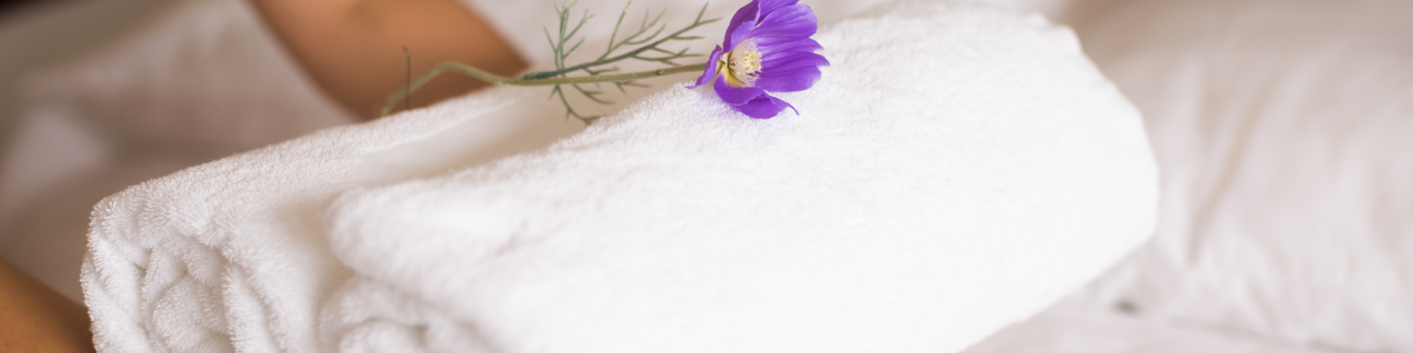 The image shows two rolled white towels with a purple flower placed on top, being held by hands against a blurred background.
