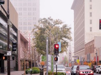 A foggy city street with buildings, a green tree, red traffic light, and several cars; a crosswalk and traffic signs are present.