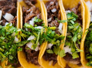 The image shows a close-up of four tacos filled with shredded meat, topped with chopped onions and fresh cilantro, all in yellow corn tortillas.