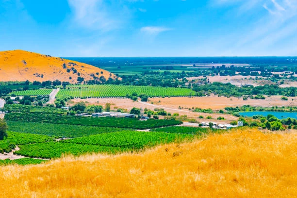 This image depicts a scenic landscape featuring rolling golden hills, lush green fields, and a clear blue sky with wisps of clouds, ending the sentence.