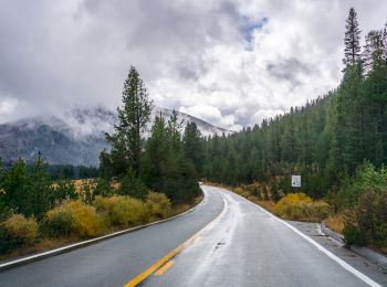 A wet winding road flanked by tall pine trees and mountains in the background, with overcast skies and low-hanging clouds.