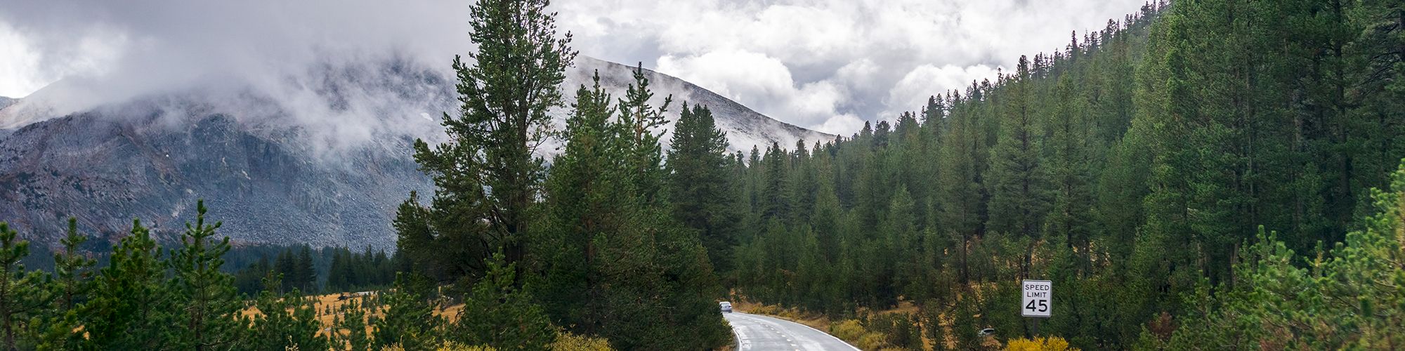 A winding road through a lush forest leads to mountains shrouded in clouds under a moody sky. The road is wet from recent rain.